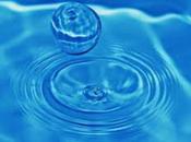 >>Bauman modernità liquida