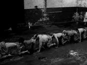 Full Sequence: Human Centipede