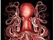 SOTTO QUESTO SOLE TREMENDO Carlos Busqued