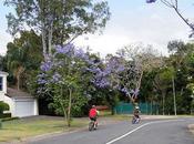 Alla scoperta Queensland: grande barriera corallina solo