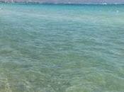 mare
