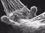 Strategia agire senza