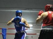 punto sulla boxe potentina