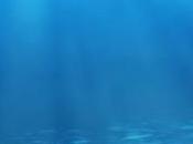 Salvaguardia Ambiente Marino: Oceani pericolo vanno all’Expo (Planet Inspired)