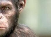 Rupert Wyatt abbandona Dawn Planet Apes Ecco prima short list registi