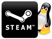 Steam Linux, Beta scatterà prossima settimana