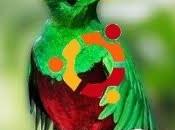 Aggiornare Ubuntu Precise Pangolin Quantal Quetzal 12,10