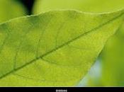 Perchè internet necessario consumatori?