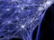 sviluppo cognitivo. parte