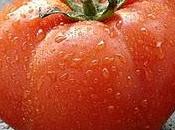 famosissimo pomodoro della cucina mediterranea...