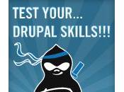 Wellnet presenta community quiz Drupal!