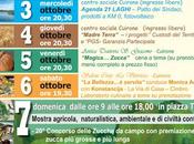 Domenica ottobre 2012 Cuirone Vergiate