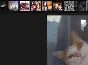 Twitter l’estensione attivare miniature