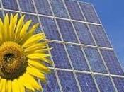 Catania: campo fotovoltaico Pfizer