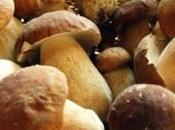 Cesarò: Sagra Suino nero fungo porcino delle Nebrodi ottobre