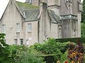 tornassi indietro…