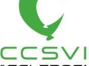 Sclerosi Multipla: ultime evidenze scientifiche sulla CCSVI
