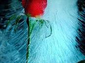 pace cuore