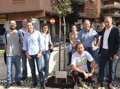 albero targa ricordo nostro amico Francesco Fiori, difese bellezza Roma