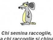 Emozioni perturbatrici