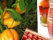 Pappacelle ripiene capperi, tonno acciughe