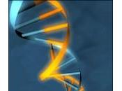 firme genetiche test aggressività cancro alla prostata