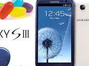 Samsung Galaxy S3:disponibile l’aggiornamento Jelly Bean brandizzati