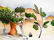 Appassianoti dell'olio? Ecco corso, amatoriale, voi.