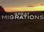 tempo migrare, arriva fine mondooooo!!!!!!