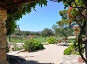 andrebbe essere qui??!!