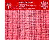 Recensione Anagramma Sonic Youth