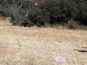 Verbania-Uomo trovato morto capanno