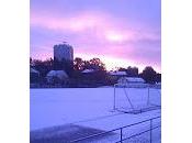 Prima neve