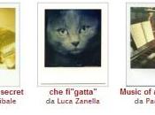 Foto della settimana