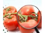 Consigli corretta sicurezza alimentare