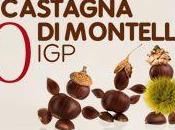 Sagra della Castagna Montella 2012: programma