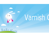 Logging Varnish Cache