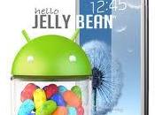 Samsung rilascia Android Jelly Bean 4.1.1 Galaxy anche no-brand