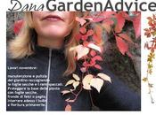 DanaGardenAdvice_novembre