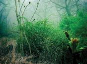 MIND OVER MIRRORS, Check Your Swing (full album stream)