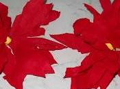 BRICOLAGE: stella Natale carta, facile