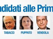 primarie centrosinistra Pavia: dove, come, quando