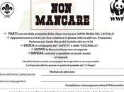 prossime attivita' domenicali ....