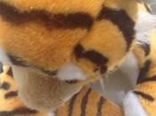 Dopo torta zebrata… tigrata (torta carote cacao)!