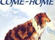 tornare casa Lassie