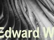 Edward Weston Modena