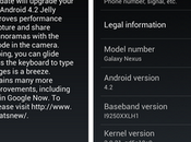 Galaxy Nexus: inizia roll Android Jelly Bean