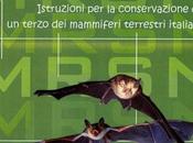 Pipistrelli: opuscolo proteggerli