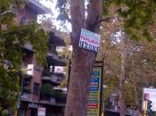 svuota cantine criminale colpisce ancora. pure Pics...