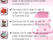 Corso cake design Natalizio: calendario corsi novembre dicembre
